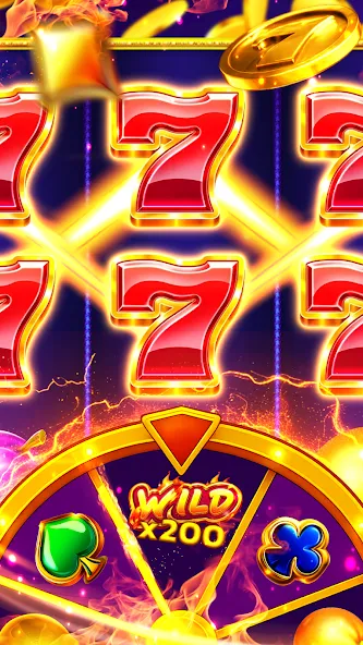 Screen